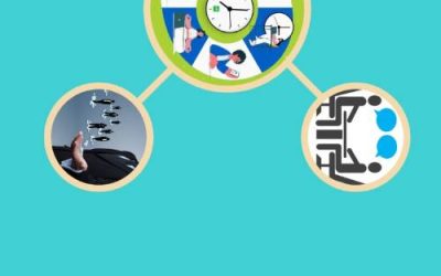 THE PRACTICAL LEADERSHIP MANUAL: DAILY HABITS FOR EFFECTIVE MANAGEMENT